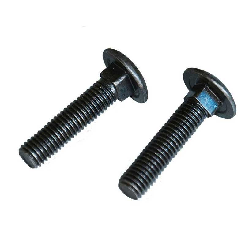 Black Oxide Iron Galvanized Half Round Head Square Neck Bolts DIN603 with DIN Standard