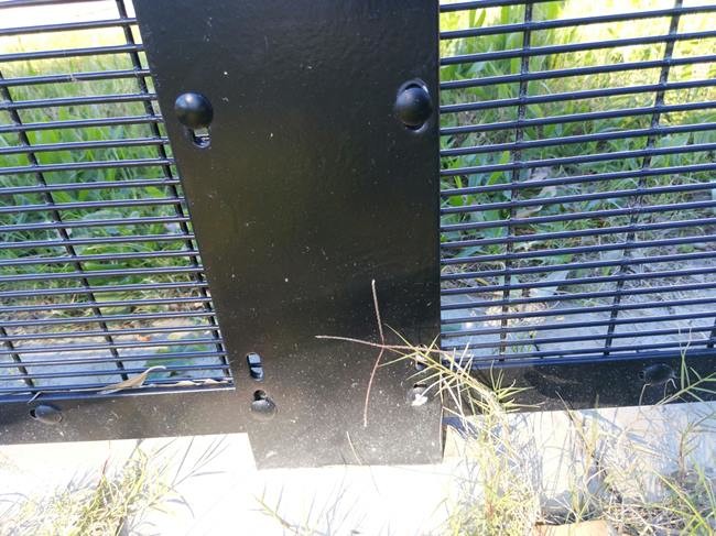 PVC Coating welded mesh ClearVu 358 Anti Climb Fence