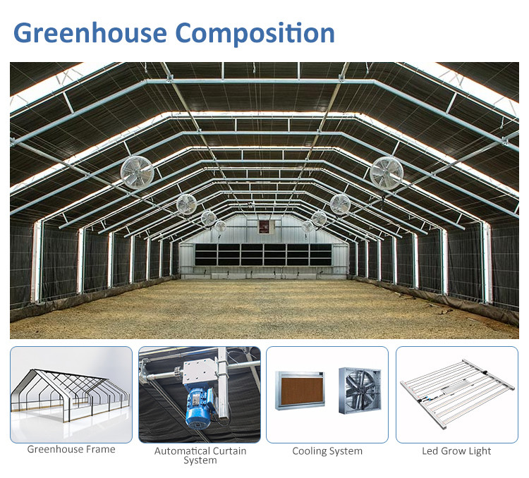 Anti UV PE Film Light Deprivation Greenhouse With Automatic Ventilation System