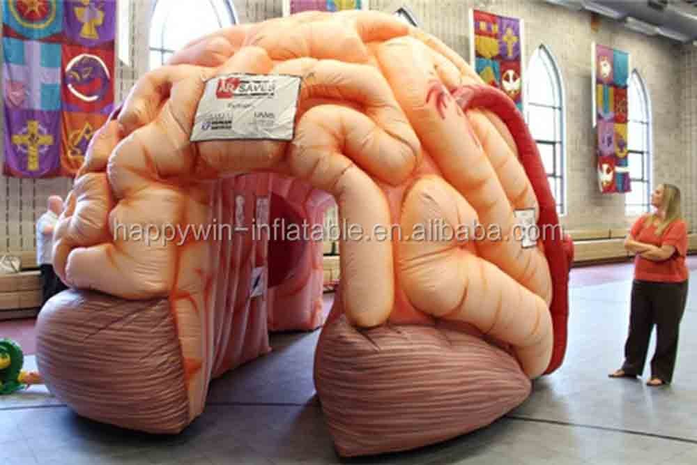 Inflatable Brain Model Tent Inflatable Medical Conferences Exhibitions - Mega Brain