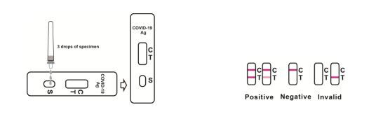 25p/Box Antigen Rapid Test Cassettes