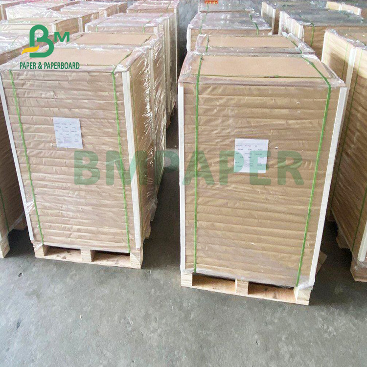 250gsm Good Printability Glossy Text Cover 610mm X 860mm High Brightness