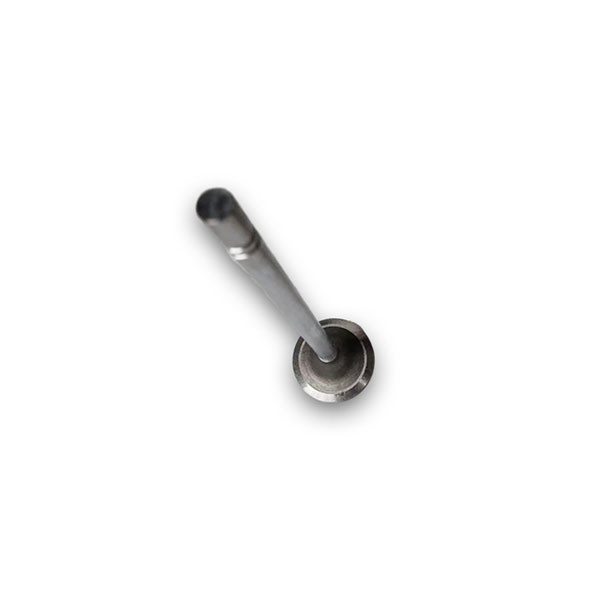 Diesel Engine Part Exhaust Valve 1220322 Intake Valve