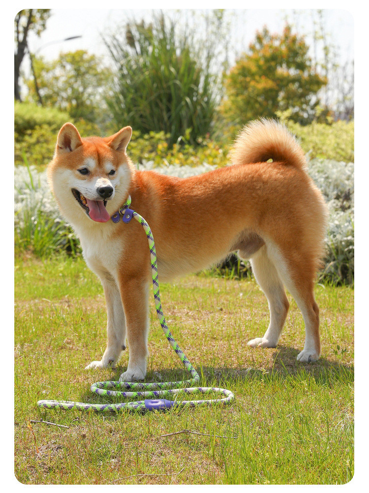Pets Nylon Sturdy And durable Leash High Quality Traction Rope For Dog And Cat