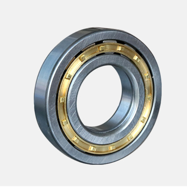Cylindrical N204 N206 N208 N200Series N205 N220 Cylindrical Taper Roller Bearing
