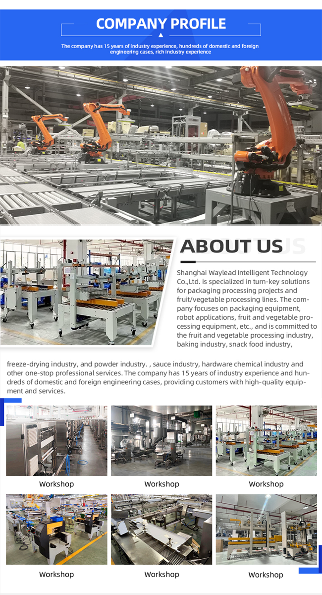 Shanghai Waylead Intelligent Technology Co.,Ltd.
