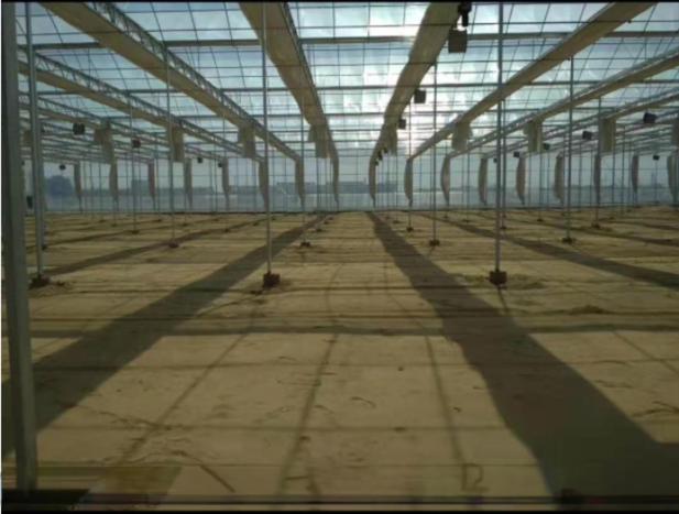 PC Plastic Polycarbonate Sheet Multi Span Hydroponic Greenhouse
