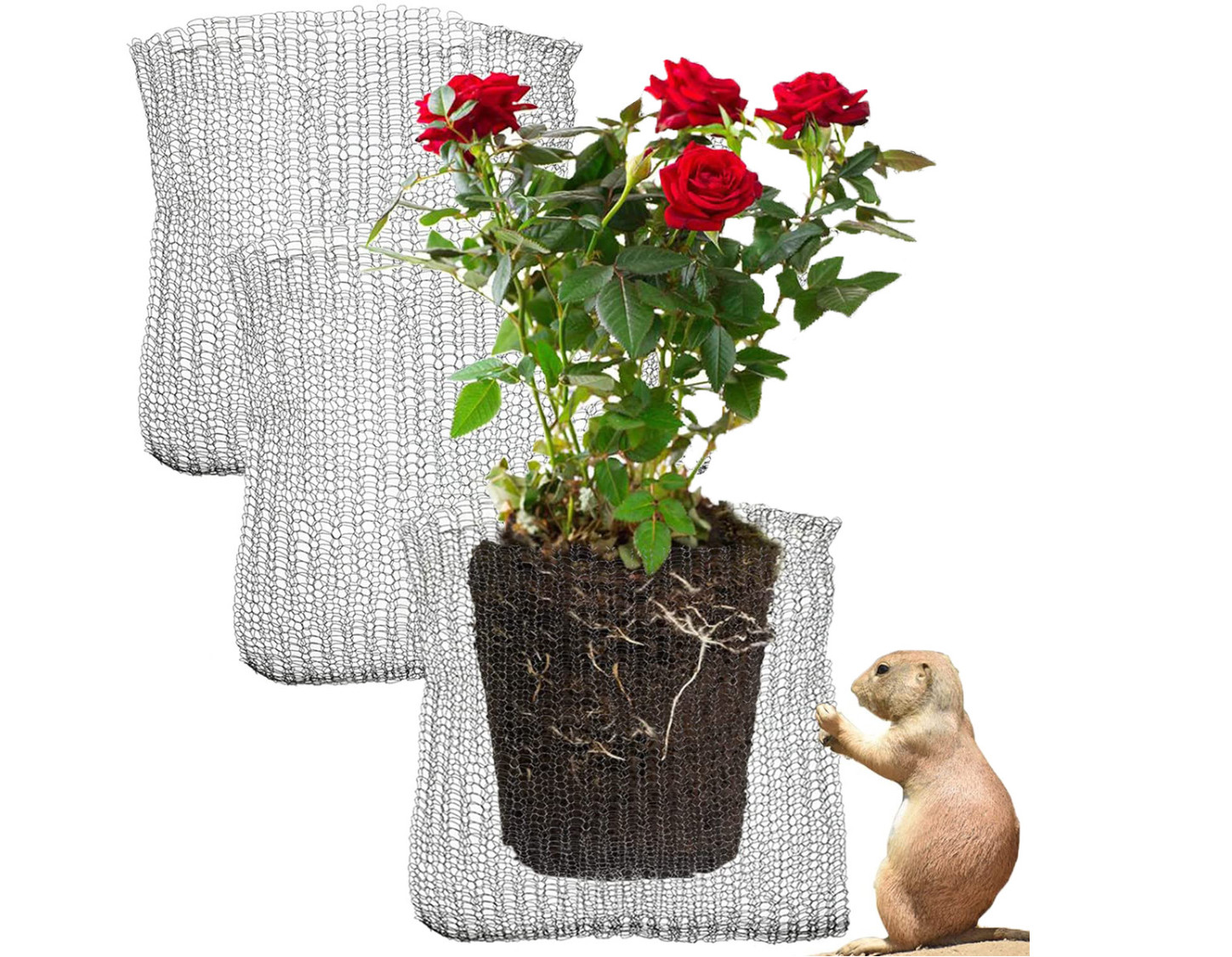 Industrial Gopher Plant Baskets 5*8mm 5*10mm 4*6mm 4*8mm Custom