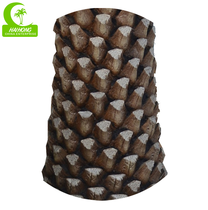 Middle east date palm tree