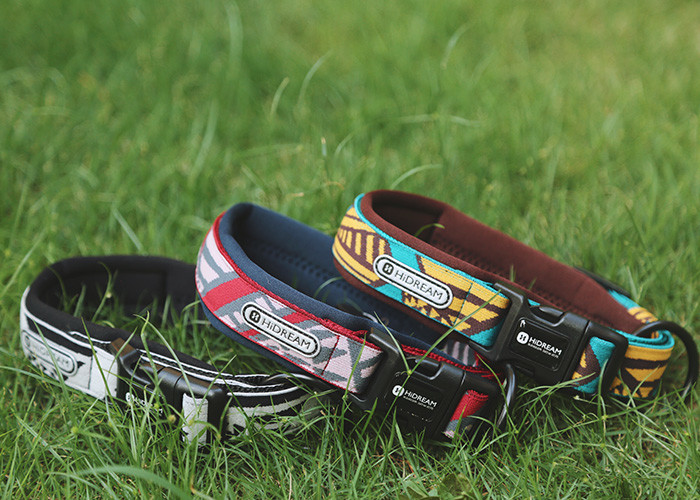 Personalized Elastic Padded Neoprene Dog Collar And Lead With Nameplate