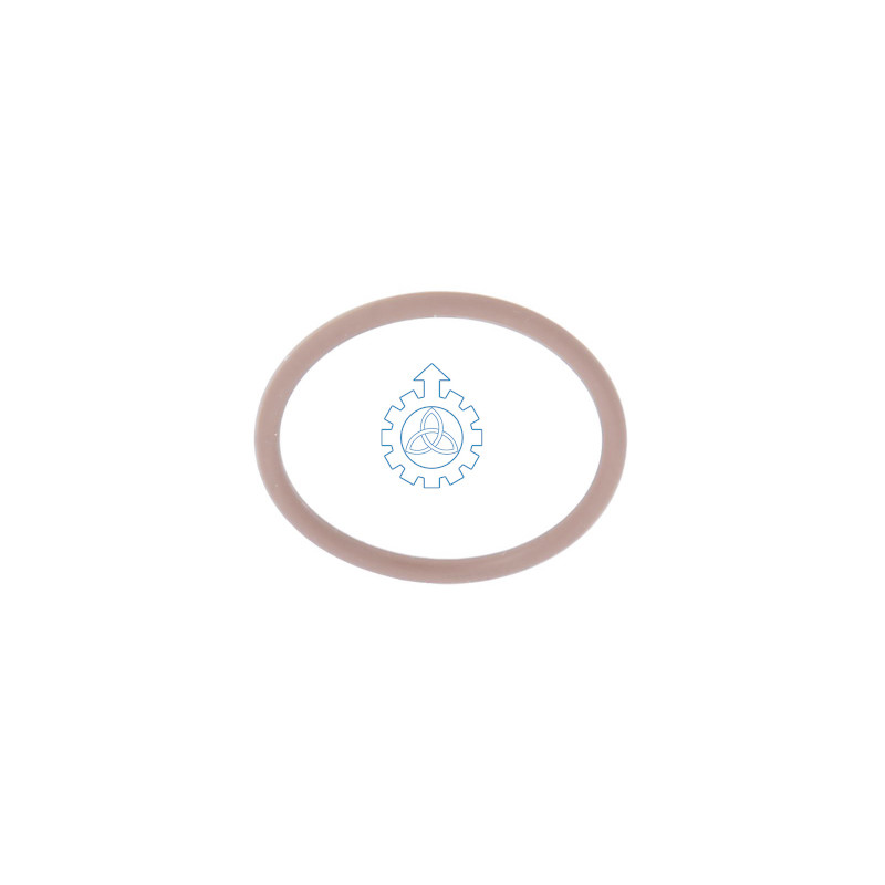 O-ring 17278781