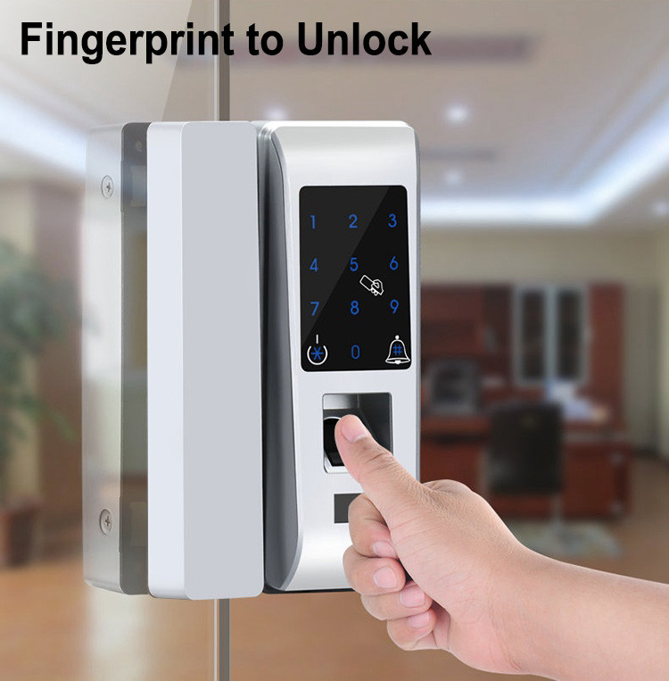 Custom Biometric Front Door Lock Frameless No Holes Four Unlock Ways To Unlock