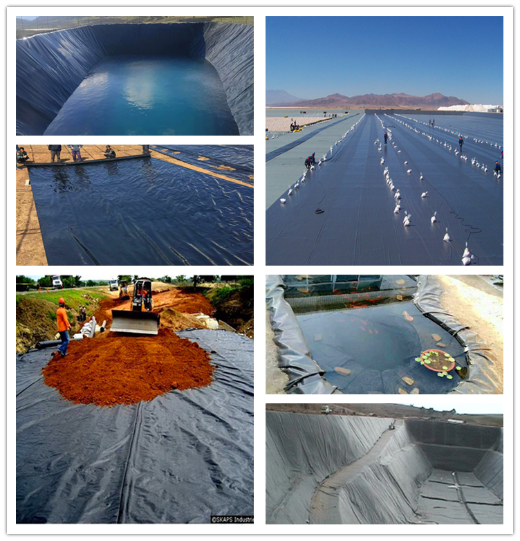 Anti-leakage Function HDPE/LDPE/EVA Geomembrane Liner at with Freely Sampled Option