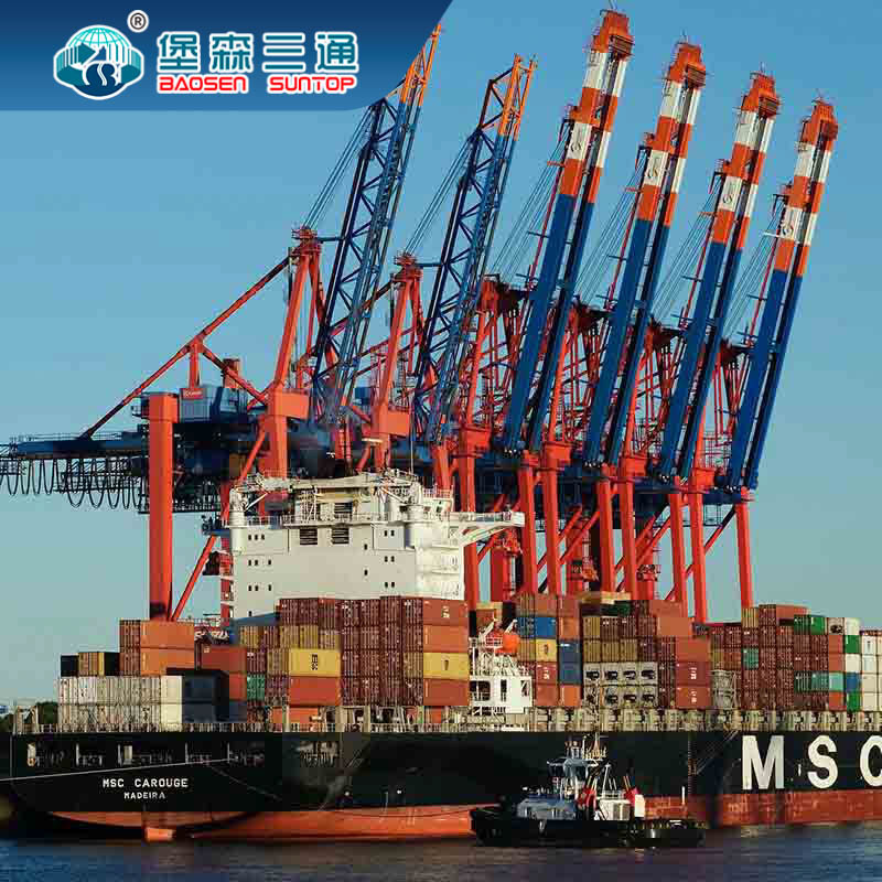 LCL FCL FBA International Shipping From China To UK Germany Netherlands France Italy