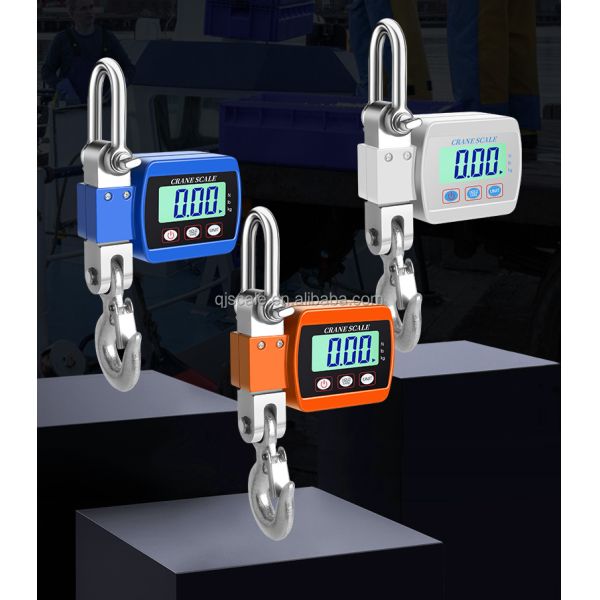 50g Accuracy Electronic Industrial Hanging Scale 300kg Digital Crane Scale with Customized OEM Support
