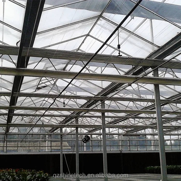 8m 9.6m 12m Span Width Agriculture Greenhouse For Hybrid Tomato Seeds And Vegetables