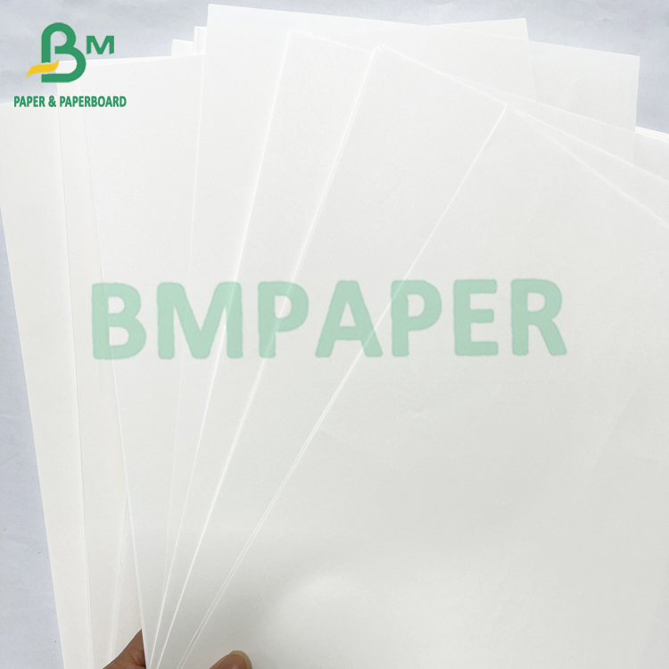Ivory Color Book Printing Paper Jumbo Roll 40lb 60lb Offset Text 