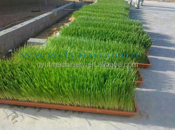 40HQ Container Greenhouse Agricultural Automated Sprout Machine Room for Garment Shops