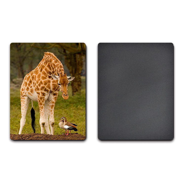 UV Offset Printing Lenticular 3D Fridge Magnets For Gift , Printed Fridge Magnets