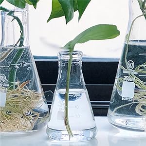 beaker and flasks
