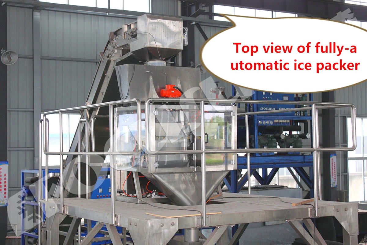 Sealing Bag Packing Machine for 1kg 5kg 10kg Ice Cubes Tubes Video Outgoing-Inspection