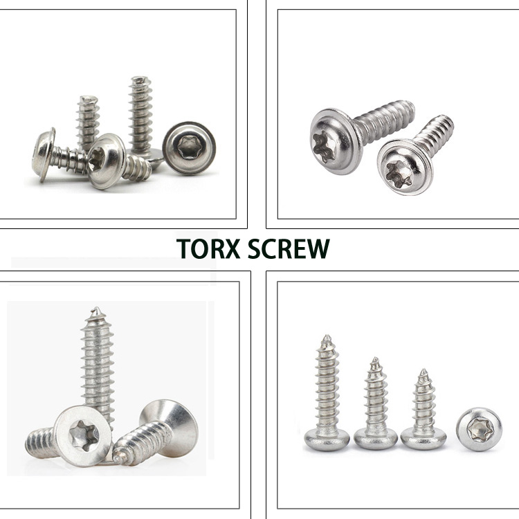 Self Tapping Screw All Kinds of SS304 Stainless Steel 100% Inspection Before Shipment