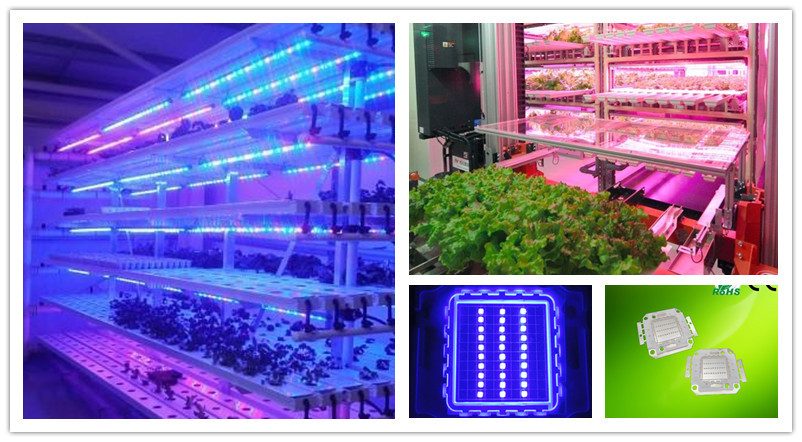 30w blue led application.jpg