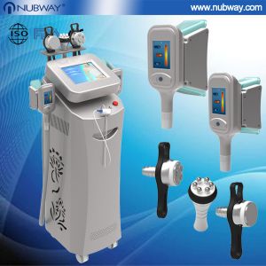 Fastest Slimming! Multifunctional cryolipolysis slimming machine / cryolipolysis vacuum