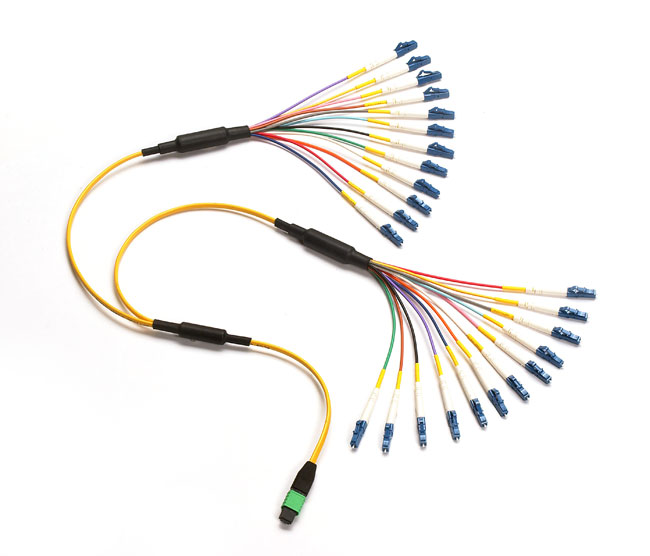 LC UPC Fiber Optic Fanout Pigtail Patch Cord Cable APC MPO 24 Core