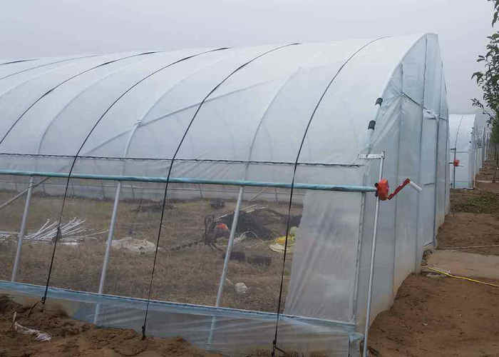 9x30m Plastic Tunnel Greenhouse Covered Plastic Film For Vegetable Growing
