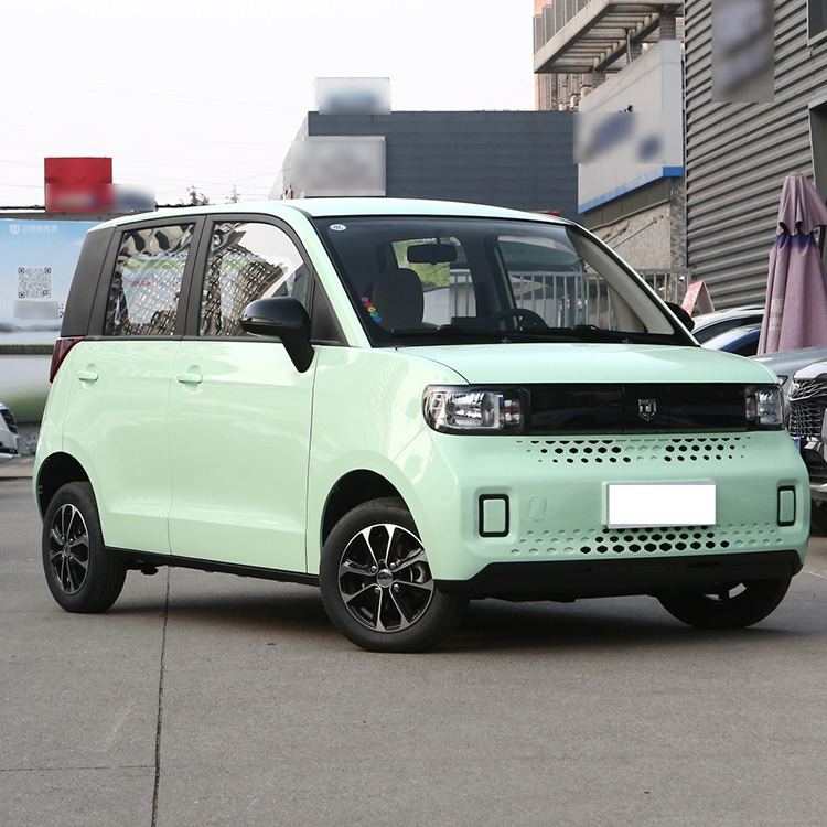 Affordable Mini Car Low Speed EV Vehicle from Chinese for Your Business Requirements
