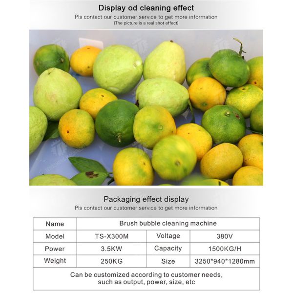 250KG Fruit and vegetable automatic roller washing machine Multi-functional vegetable washing machine automatic