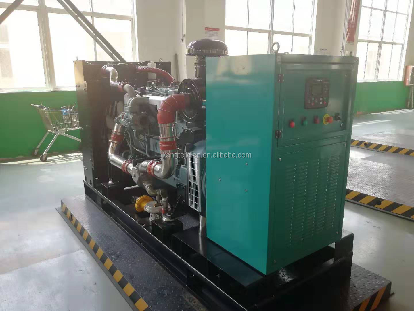 IP23 Protection Class 60kW Natural Gas/Biogas/LPG/Syngas/Oil Gas/Coal Mine Gas Generator