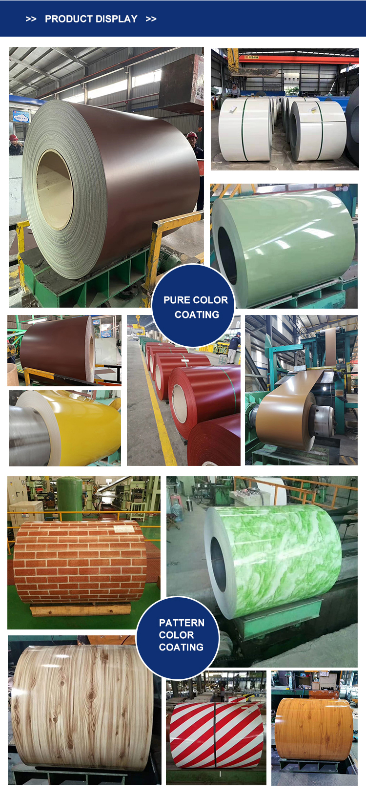 JIS Certificate Good PPGI Coil Prepainted GI Steel Coil / PPGI/ Color Coated PPGI Steel Roofing Sheet DX51D RAL for Building