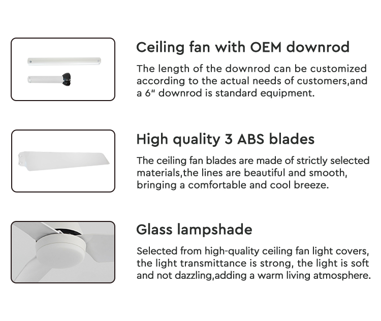 ceiling fan