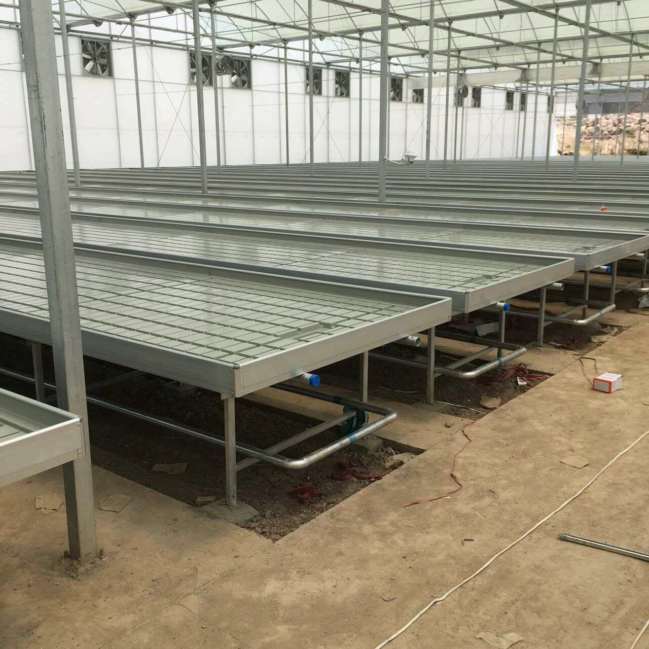 Commercial Greenhouse Rolling Benches / Seedbed Wire Greenhouse Bench for Flowers