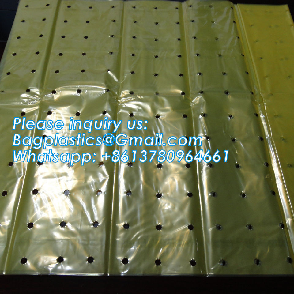 Pe Mulch Film With Holes For Agriculture Perforated Red Plastic Mulch For Peppers Crop Cover For Tomatoes