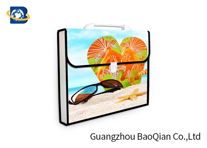 3D Lenticular Picture Expanding File Folders , Presentation Folder Printing