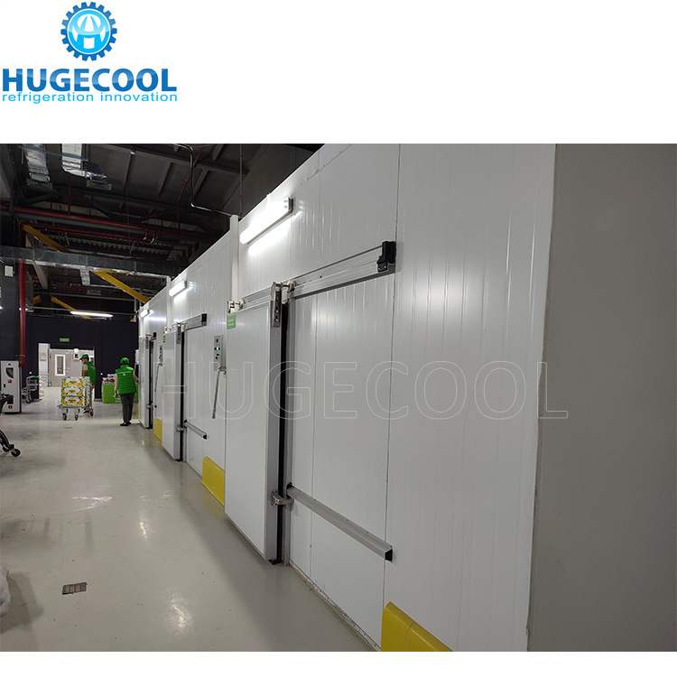 Beef Slaughter Plant Cold Storage Blast Freezer with Stainless Steel Panel