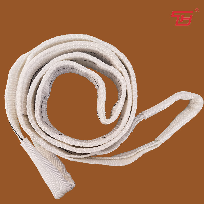 Color Code Duplex Lifting Pulley Polyester Flat Webbing Sling 25mm 300mm 1T