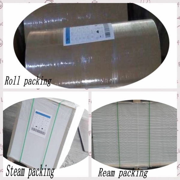 MG & MF 35gsm - 50gsm FSC supprot good strength white kraft paper for packing