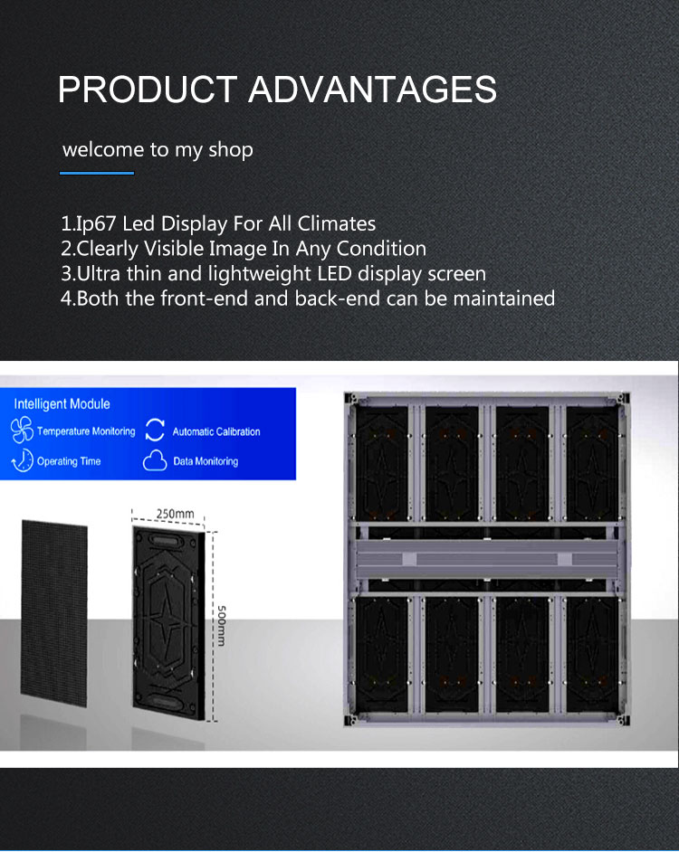 Outdoor Full Color Led Display P10 Outdoor LED Display Board With Waterproof Screen And Panel Size 250mm*500mm
