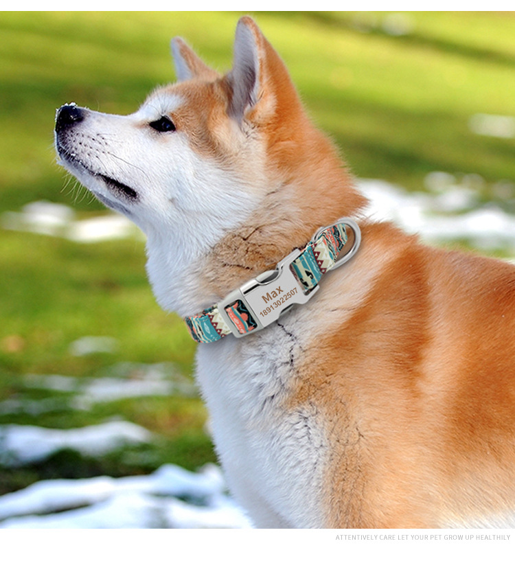 Beautiful Pattern Adjustable Nylon Collar Customized Color Pet Dog Accessories