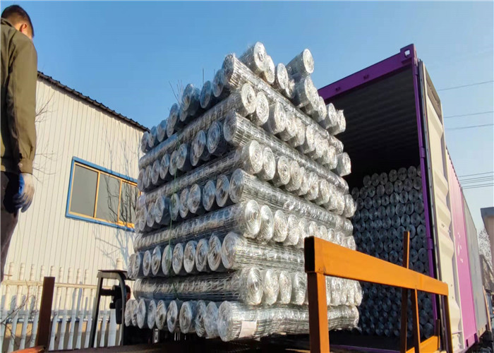 Animal Farms 1x1 25x25mm Galvanised Welded Wire Mesh
