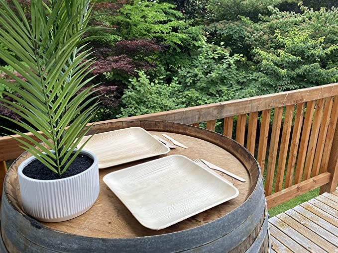 10" Disposable Square Areca Palm Leaf Plates With Fork Knife