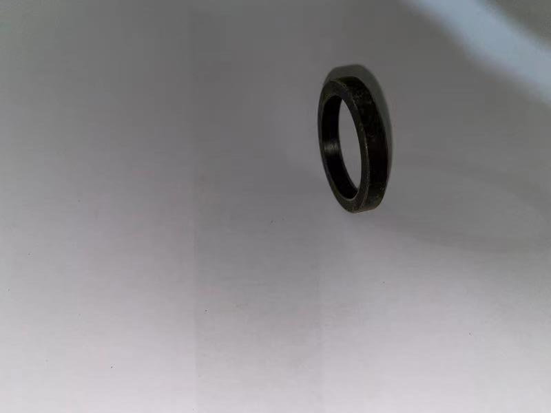 Engine Parts End Ring for 6190 12V. 48.04