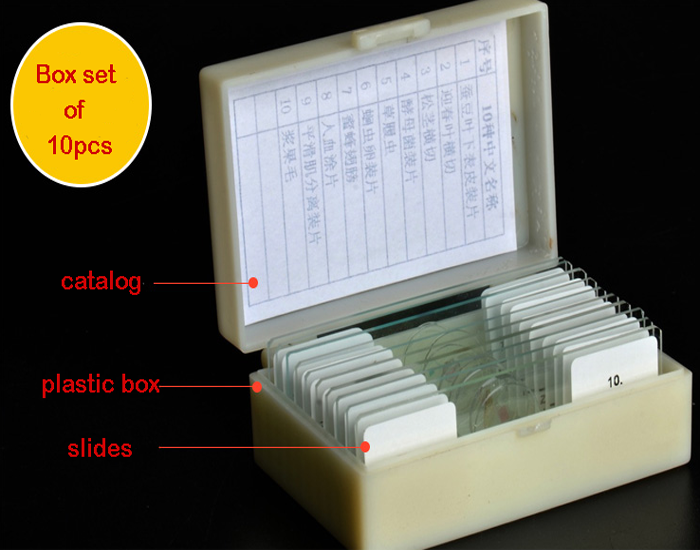 10pcs Mixed Glass Microscope Slides Medical Education Use For Children Study