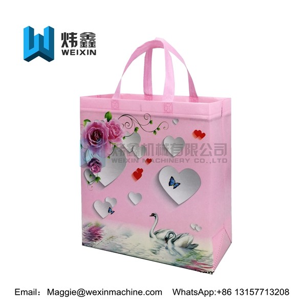Non-woven cooler bag Eco Heat Seal Ultrasonic PP Non Woven Fabric Laminated Shopping Carry Bag