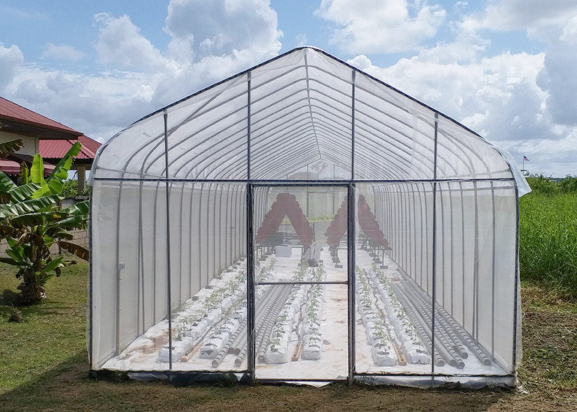 UV Resistant Diy Small Greenhouse Plastic For Balcony Vegetables