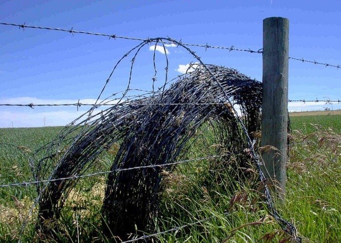 Corrosion Protected Barbed Wire 1.6 - 3.2mm Wire Diameter for Fence Single Twist Weaving